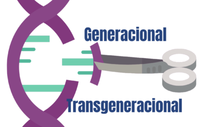 ¿Qué es lo Transgeneracional?