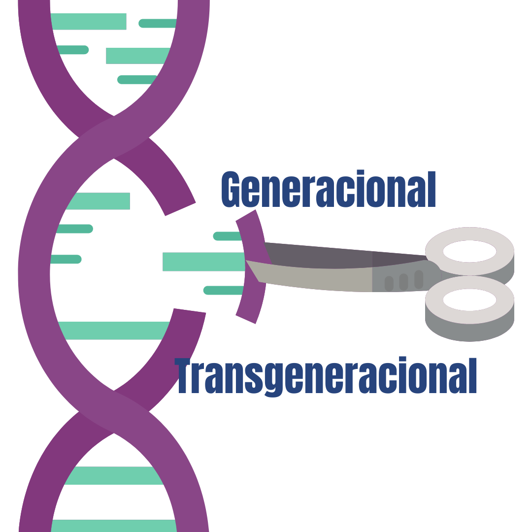 ¿Qué es lo Transgeneracional?